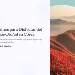 1 Destinos para Disfrutar del Follaje Otonal en Corea