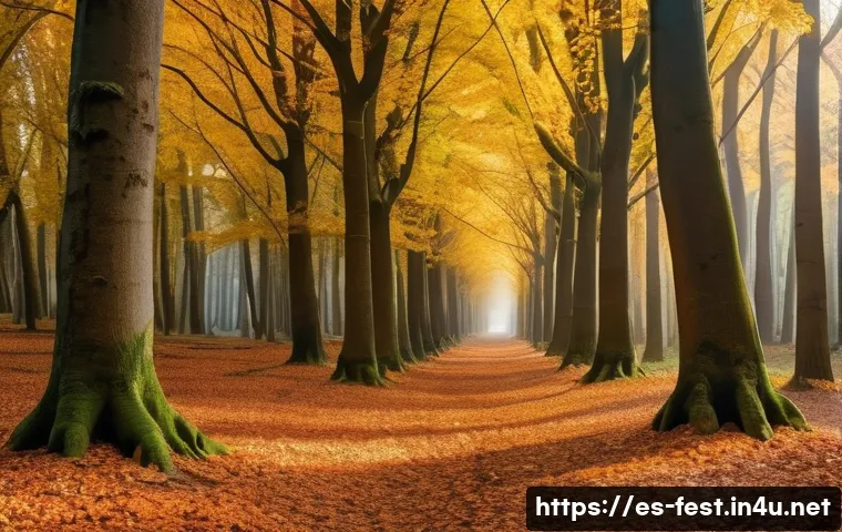 밤 줍기 체험 가능한 곳 - A serene autumn forest scene in northern Spain featuring ancient chestnut trees with sprawling trunk...
